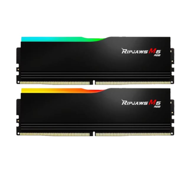 GSKILL 32GB 16x2 F5-6000J3238F16GX2-RM5RK - Gaming PC Component | High Performance Hardware